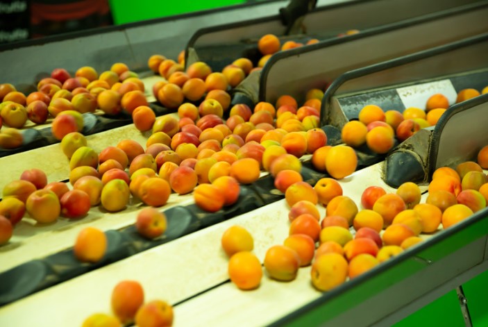 What Makes Conveyor Sortation Systems Special? What Makes Conveyor Sortation Systems Special?