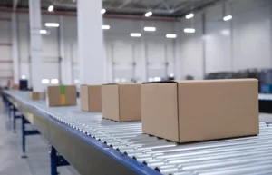 boxes on a stainless steel conveyor in a cold storage facility