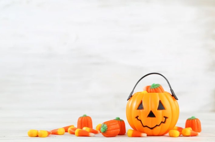 an array of pumpkins against a light grey background